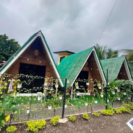 Villa Lovi Panagsama Beach Moalboal Exterior photo